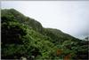amazonian3.gif [242551 octets]