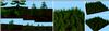 shaders.gif [233990 octets]