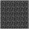dots.3.jpg [67166 octets]