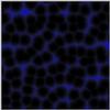 vor3.gif [119898 octets]