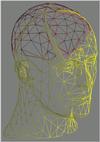 man1mesh.gif [41615 octets]