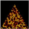 perl4C2.jpg [32398 octets]