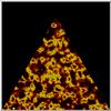 perl4C3.jpg [33200 octets]