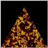 perl4C4.jpg [32850 octets]