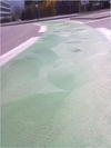 27032012197.jpg [300124 octets]