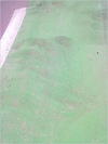 27032012200.jpg [388024 octets]