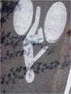 27032012201.jpg [507430 octets]