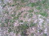 27032012202.jpg [714443 octets]