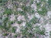 27032012204.jpg [702558 octets]