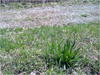 27032012205.jpg [627792 octets]