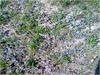 27032012206.jpg [714527 octets]