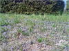 27032012207.jpg [646305 octets]