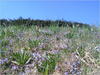 27032012208.jpg [479783 octets]
