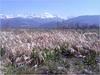 27032012210.jpg [433956 octets]
