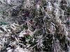 27032012212.jpg [602435 octets]