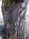 27032012213.jpg [514483 octets]