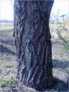27032012214.jpg [489649 octets]