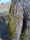 27032012215.jpg [508094 octets]