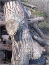 27032012216.jpg [414068 octets]