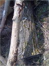 27032012217.jpg [415167 octets]