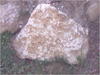 27032012218.jpg [195073 octets]