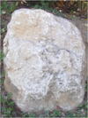 27032012219.jpg [198983 octets]
