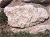 27032012220.jpg [253348 octets]