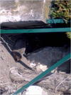 27032012223.jpg [191270 octets]