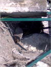 27032012224.jpg [206686 octets]