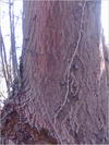 27032012225.jpg [262704 octets]
