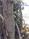 27032012226.jpg [207445 octets]