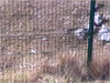 27032012229.jpg [378801 octets]