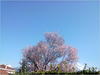 27032012235.jpg [291522 octets]