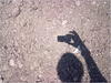 27032012236.jpg [531212 octets]