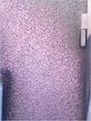 27032012237.jpg [429230 octets]