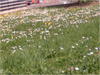 27032012238.jpg [249775 octets]