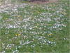 27032012239.jpg [280912 octets]