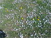 27032012240.jpg [536659 octets]