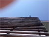 27032012241.jpg [186122 octets]