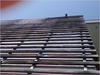 27032012242.jpg [257174 octets]